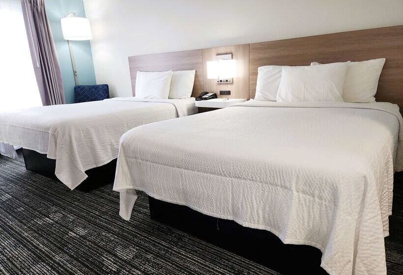 فندق على الطريق Americas Best Value Inn & Suites Foley