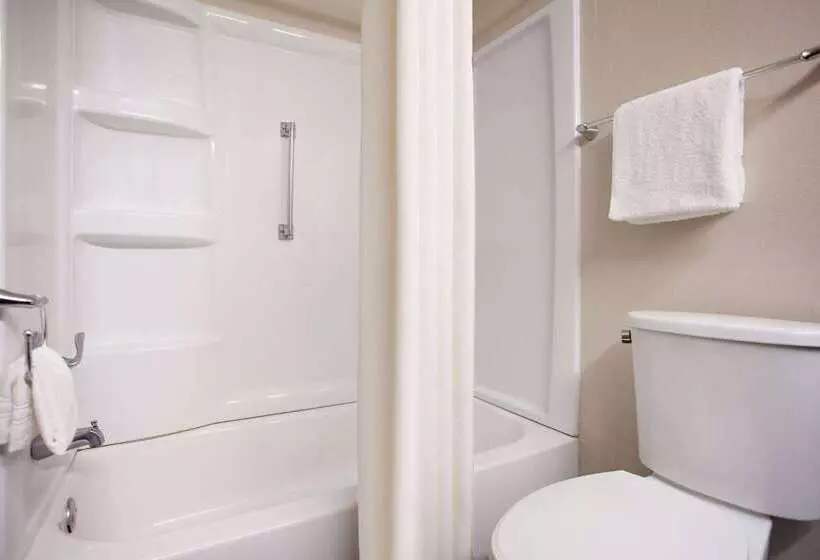 汽车旅馆  Super 8 By Wyndham Lenexa Overland Park Area/mall Area