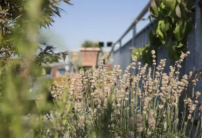 هتل Art Nouveau Am Kurfürstendamm