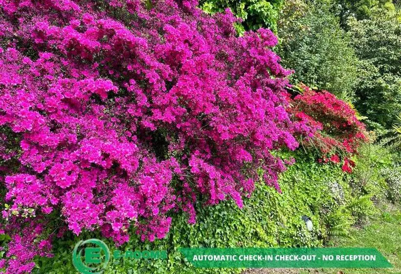 فندق Erooms Minusio