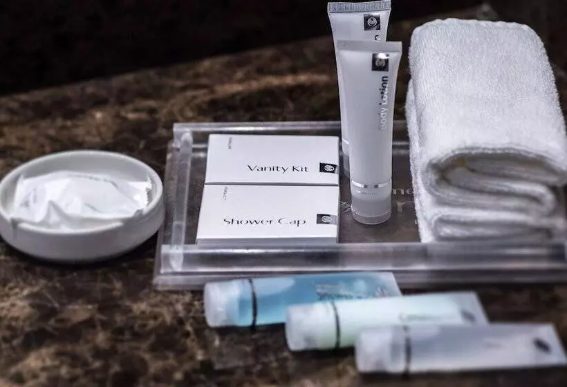 酒店 Jumeira Rotana – Dubai