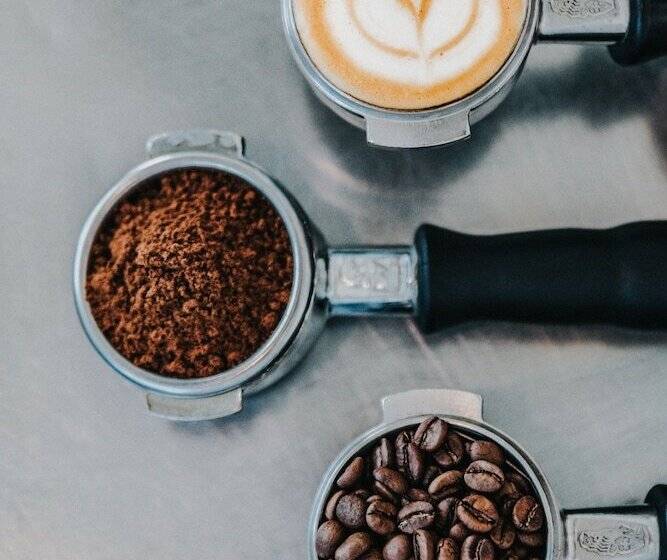 Hotel Nassau Suite South Beach, An All Suite