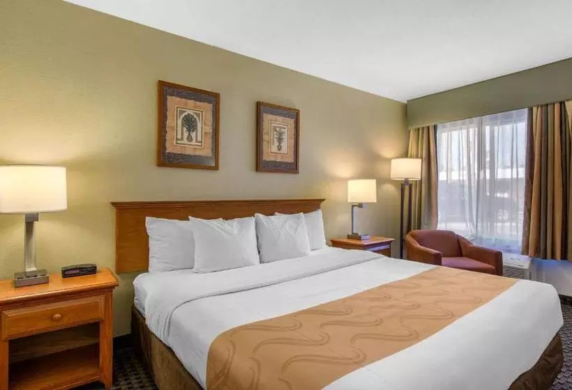 ホテル Cco  & Suites Downtown