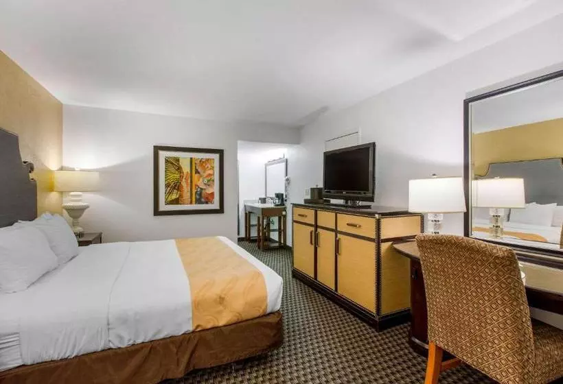 ホテル Cco  & Suites Downtown