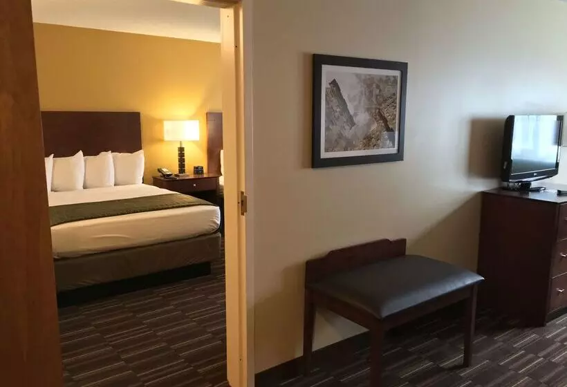 Otel Best Western Falcon Plaza   Bowling Green