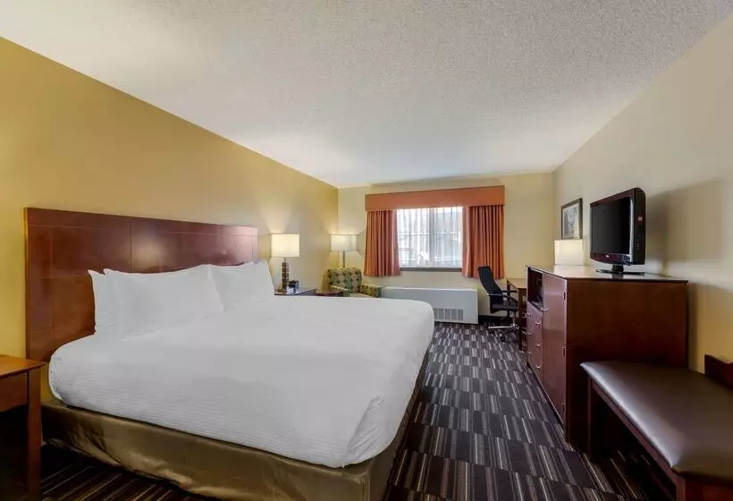 Otel Best Western Falcon Plaza   Bowling Green