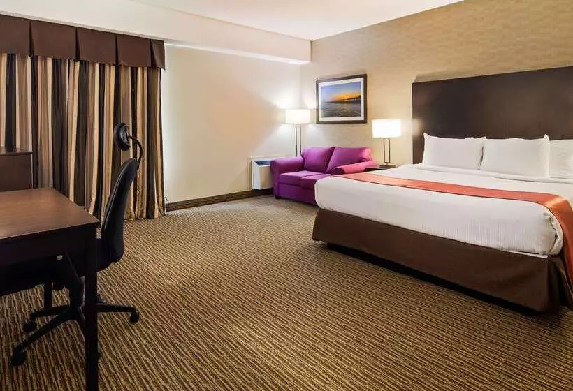 酒店 Best Western Little River Inn