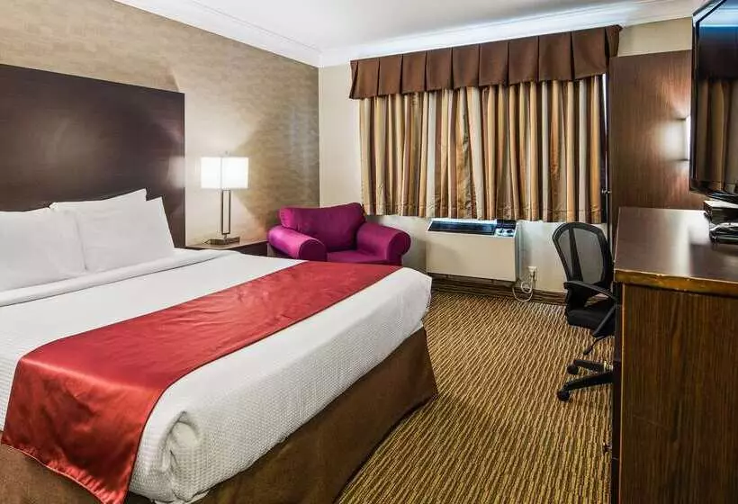 酒店 Best Western Little River Inn