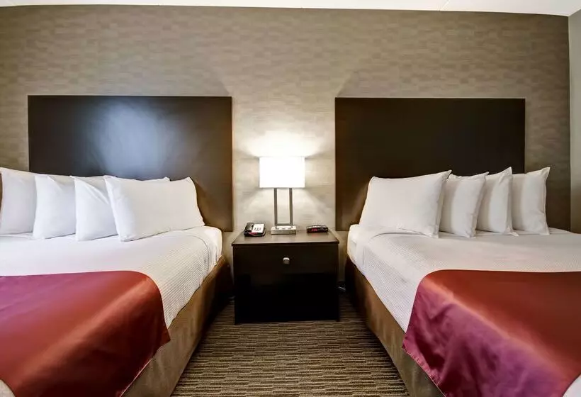 酒店 Best Western Little River Inn