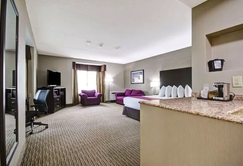 酒店 Best Western Little River Inn