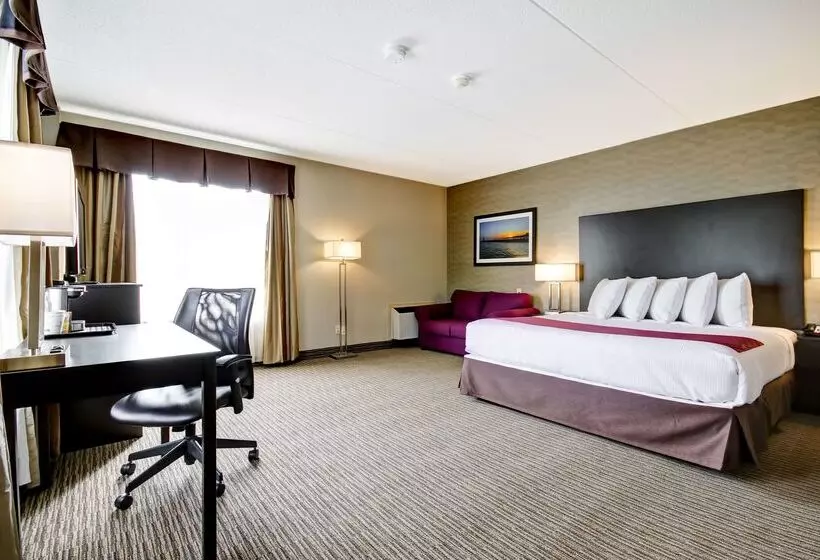 酒店 Best Western Little River Inn