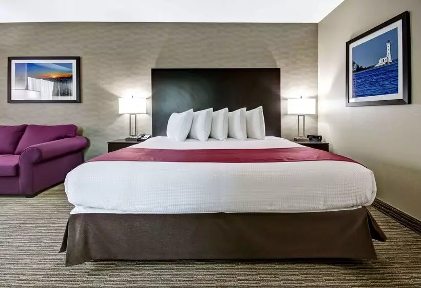 酒店 Best Western Little River Inn