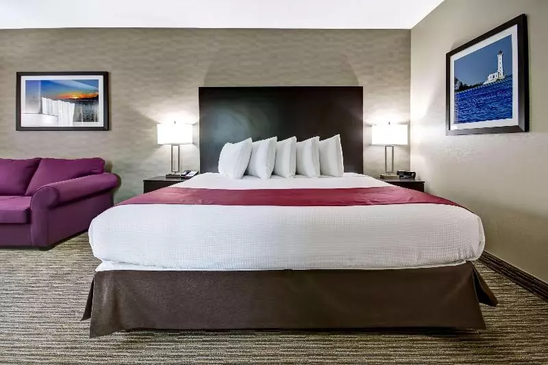 酒店 Best Western Little River Inn