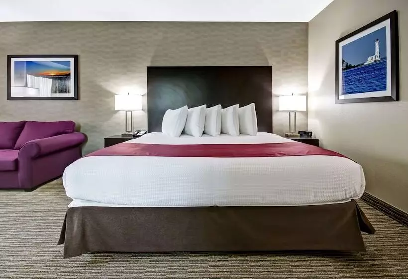 酒店 Best Western Little River Inn