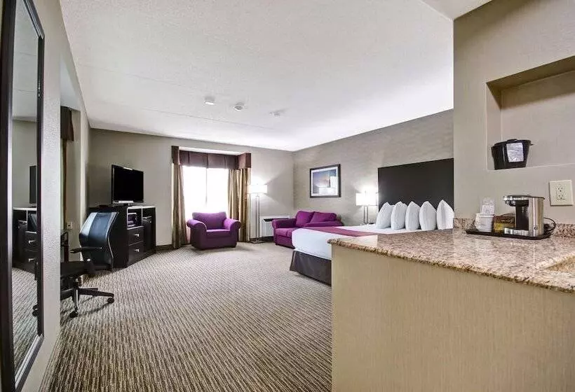 酒店 Best Western Little River Inn