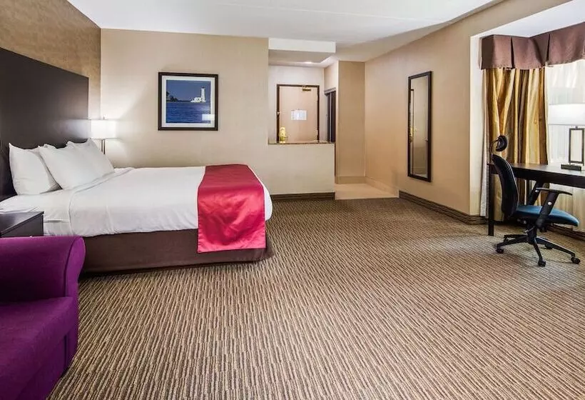 酒店 Best Western Little River Inn