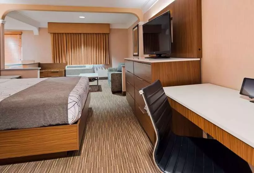 Best Western Plus Suites Hotel   Los Angeles Lax Airport