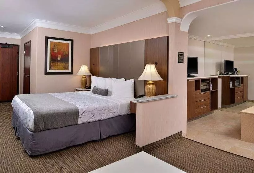 Best Western Plus Suites Hotel   Los Angeles Lax Airport