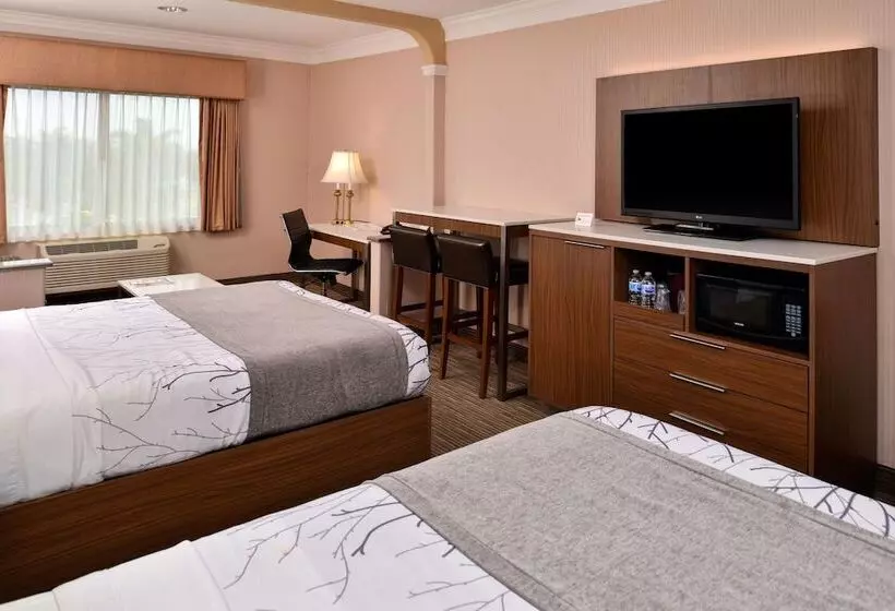 Best Western Plus Suites Hotel   Los Angeles Lax Airport