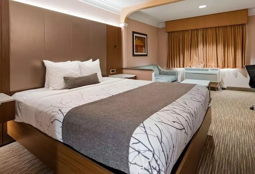 Best Western Plus Suites Hotel   Los Angeles Lax Airport