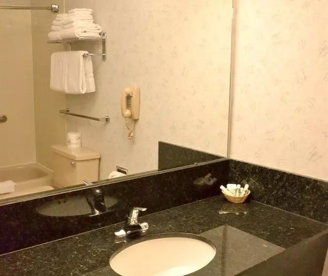 ホテル Safari Inn Downtown