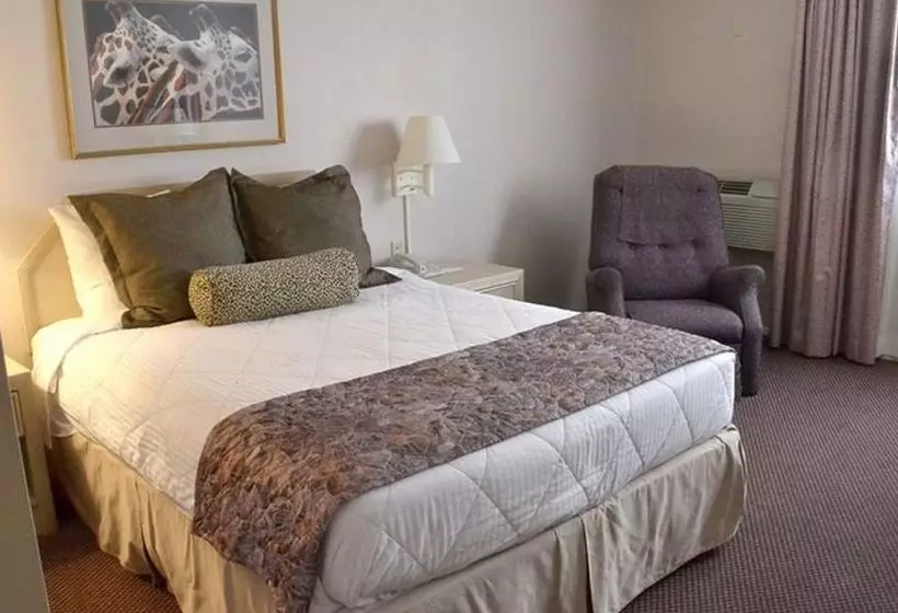 ホテル Safari Inn Downtown