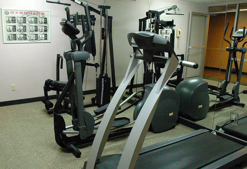 ホテル Safari Inn Downtown