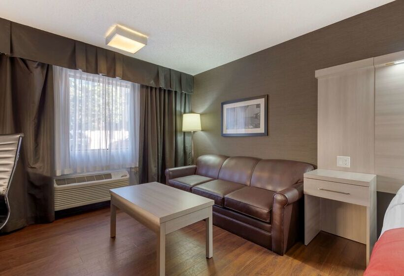 هتل Best Western Plus Village Park Inn