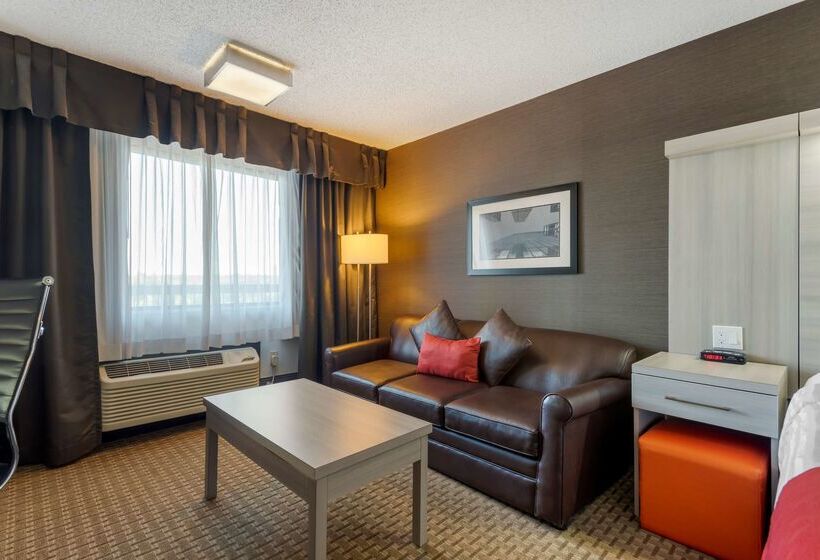 هتل Best Western Plus Village Park Inn