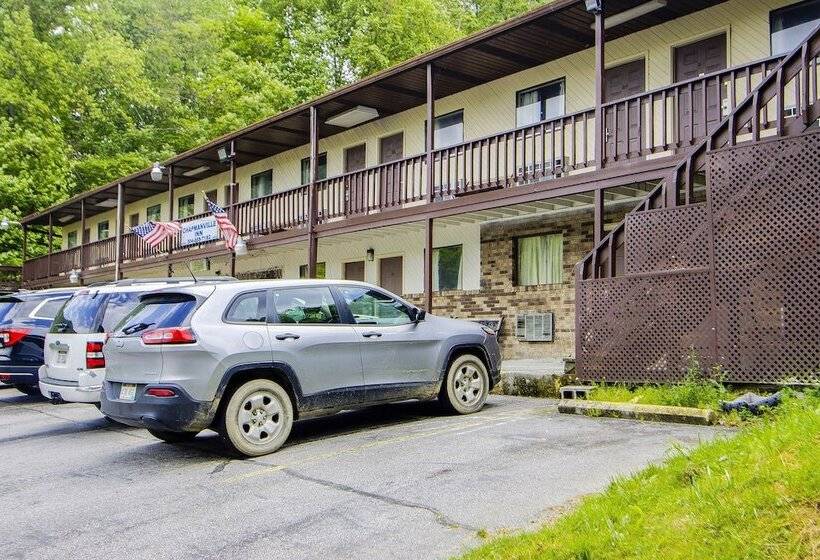 OYO Hotel Chapmanville Inn, WV - Hwy 119