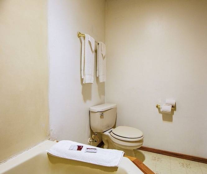 OYO Hotel Chapmanville Inn, WV - Hwy 119