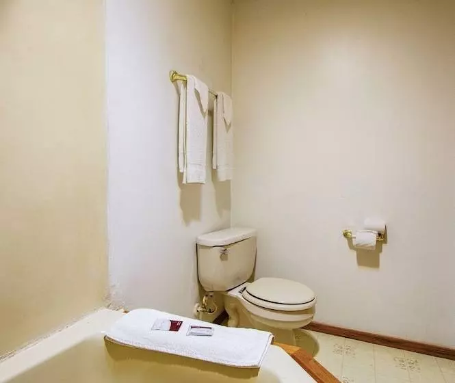 OYO Hotel Chapmanville Inn, WV - Hwy 119