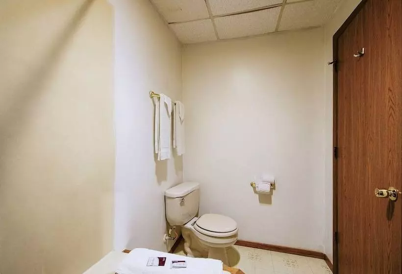 OYO Hotel Chapmanville Inn, WV - Hwy 119