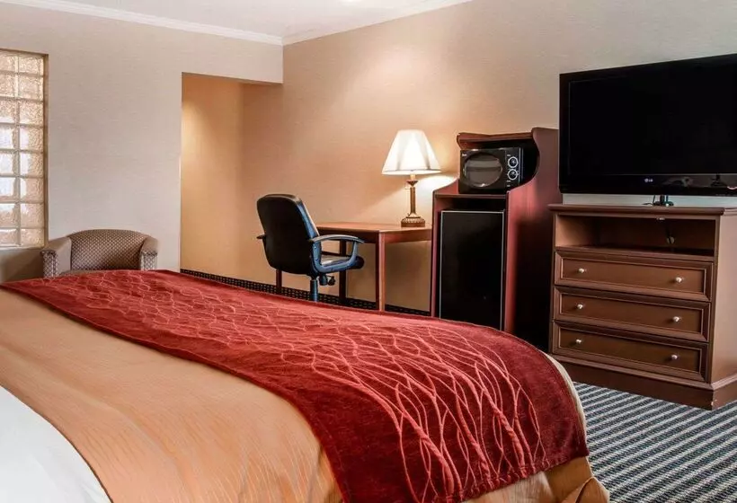 호텔 Comfort Inn Livonia