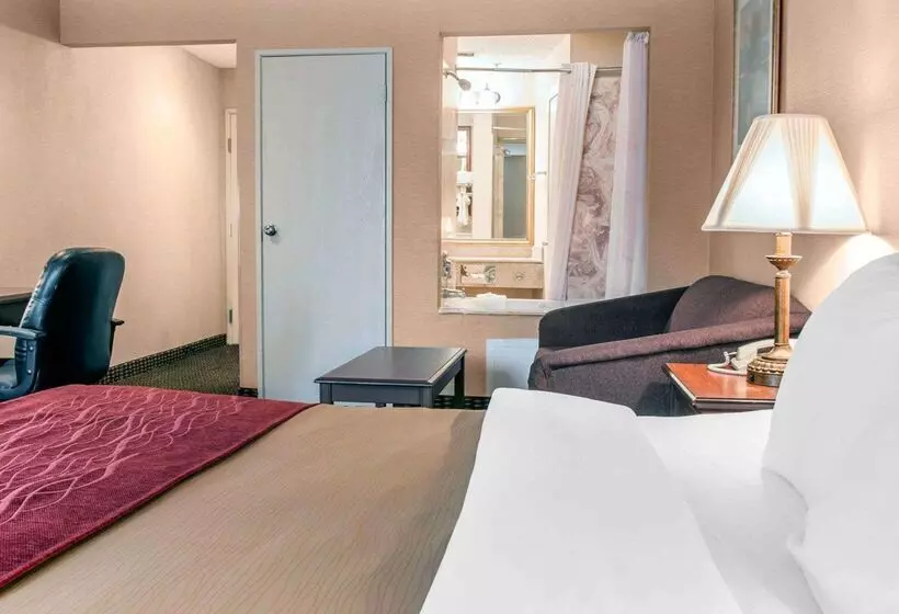 호텔 Comfort Inn Livonia