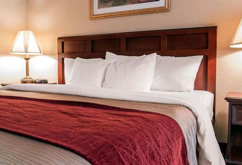 호텔 Comfort Inn Livonia