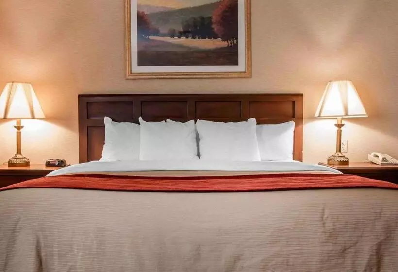 호텔 Comfort Inn Livonia