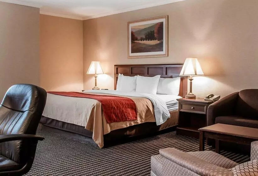 호텔 Comfort Inn Livonia