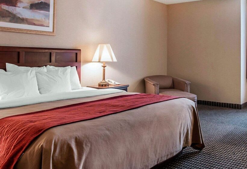 בית מלון כפרי Comfort Inn Livonia