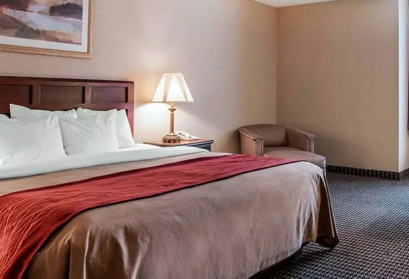 호텔 Comfort Inn Livonia