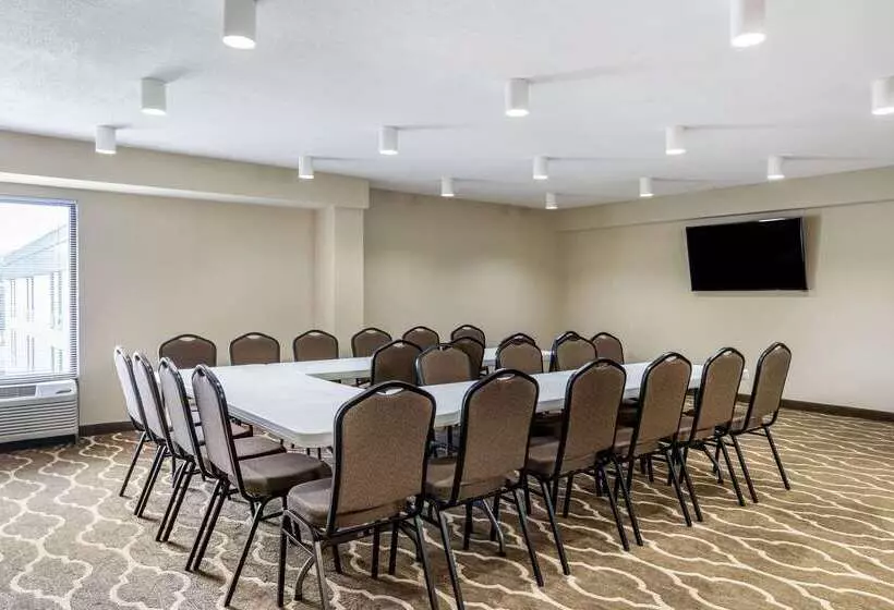 酒店 Comfort Inn & Suites Clemson  University Area