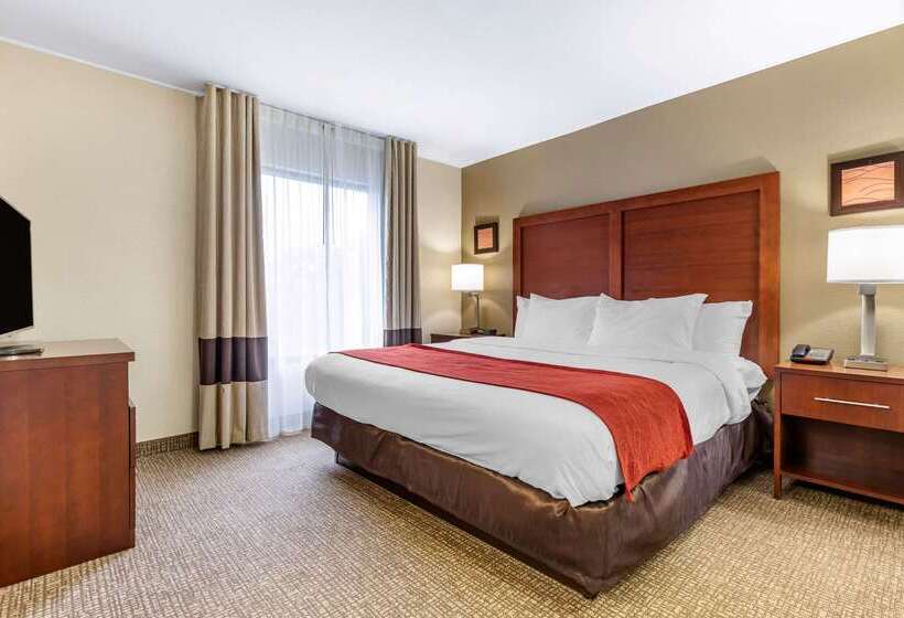 Otel Comfort Inn & Suites Clemson University Area