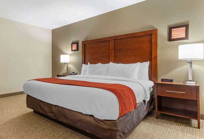Otel Comfort Inn & Suites Clemson University Area