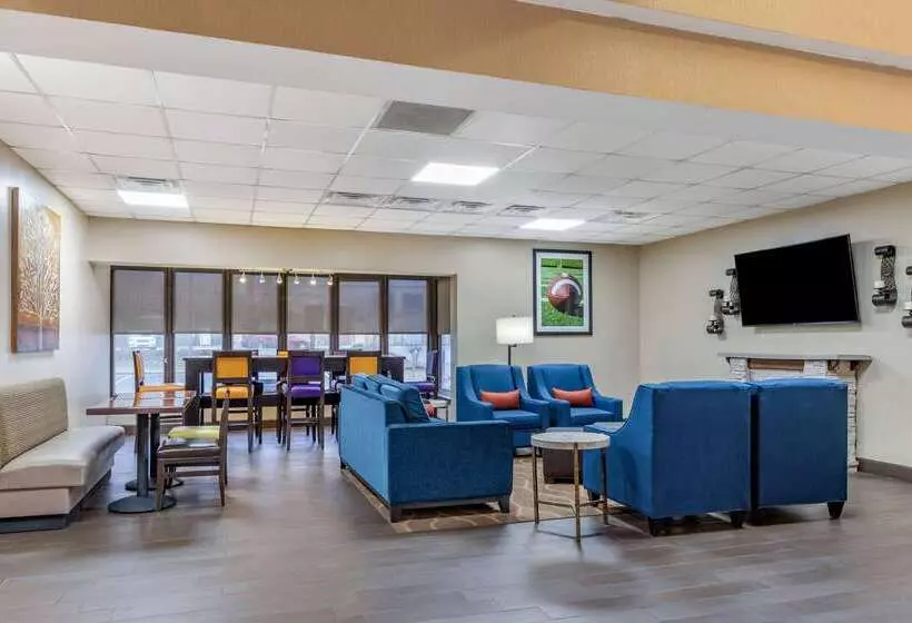 酒店 Comfort Inn & Suites Clemson  University Area