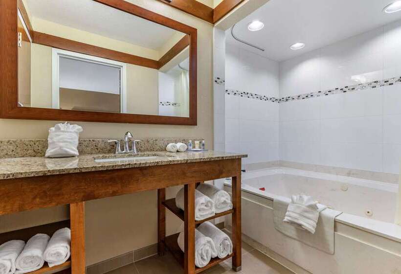 Otel Comfort Inn & Suites Clemson University Area