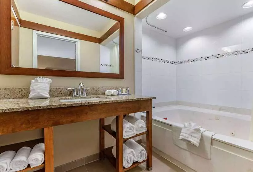 酒店 Comfort Inn & Suites Clemson  University Area