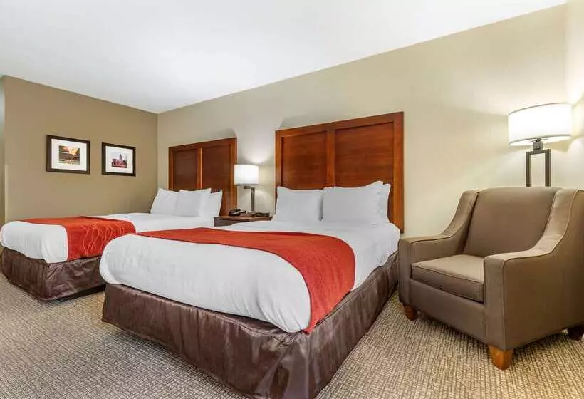 酒店 Comfort Inn & Suites Clemson  University Area