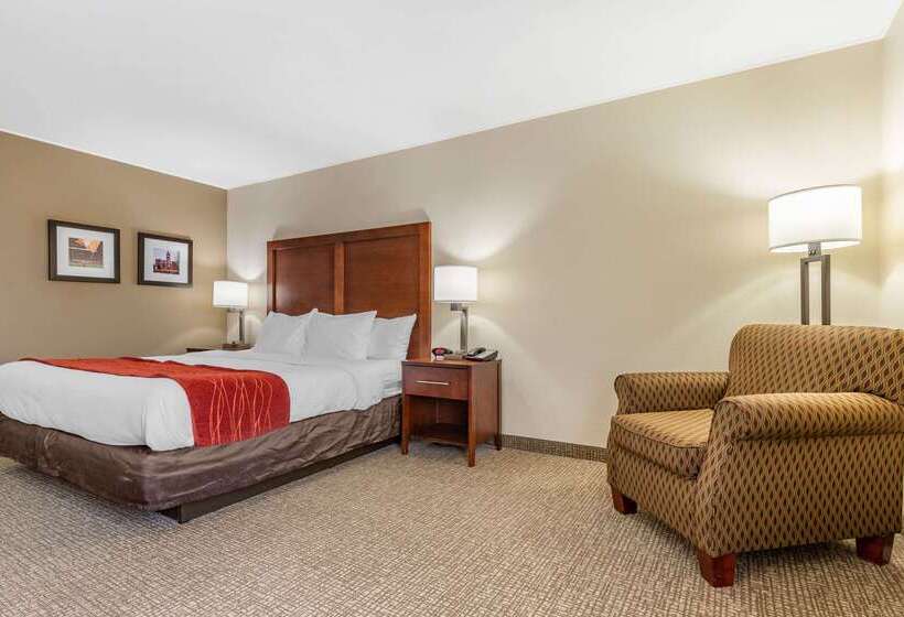 Otel Comfort Inn & Suites Clemson University Area