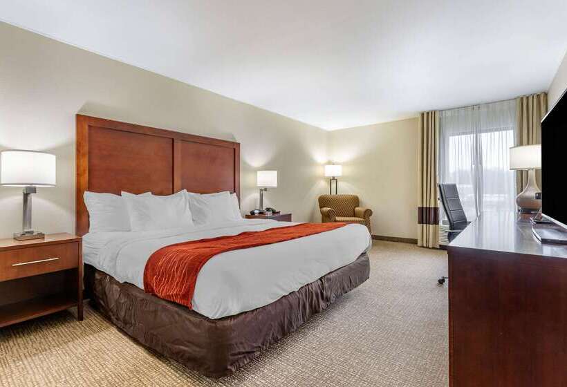 Otel Comfort Inn & Suites Clemson University Area