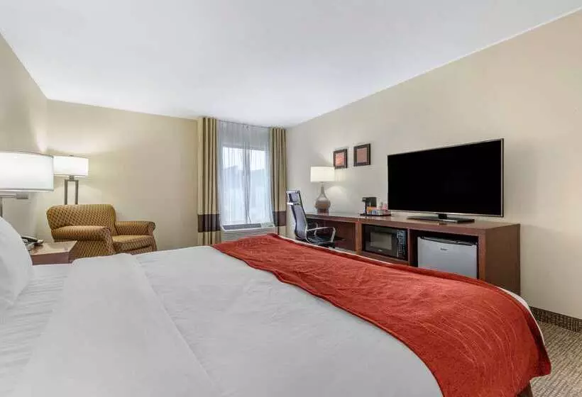 酒店 Comfort Inn & Suites Clemson  University Area